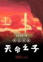 我应该是天命之子在线阅读