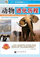 动物进化历程