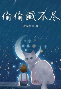 偷偷藏不盡