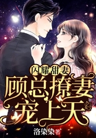 閃耀甜妻：顧總撩妻寵上天在線閱讀