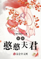 我的憨憨夫君