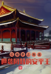 红楼梦之我是世袭罔替的安平王