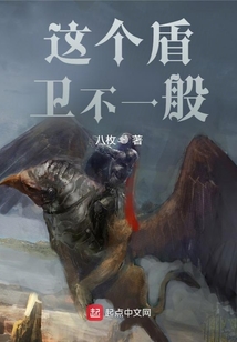 這個盾衛不一般