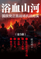 浴火山河:国民党正面战场抗战纪实(全5册)在线阅读