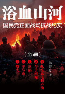 浴血山河:國民黨正面戰場抗戰紀實(全5冊)