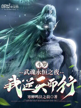 斗罗：武魂永恒之夜，我逆天而行在线阅读