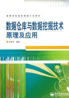 数据仓库与数据挖掘技术原理及应用