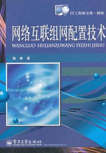 网络互联组网配置技术