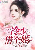 冷少借個婚在線閱讀
