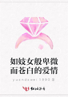 如妓女般卑微而蒼白的愛情在線閱讀
