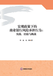宏觀政策下的商業(yè)銀行風(fēng)險承擔(dān)行為:實踐、經(jīng)驗與挑戰(zhàn)