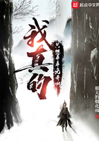 我真的只想平平無奇啊在線閱讀