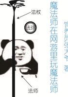 魔法师在网游里玩魔法师在线阅读