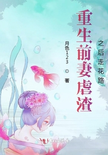 重生前妻虐渣之后走花路