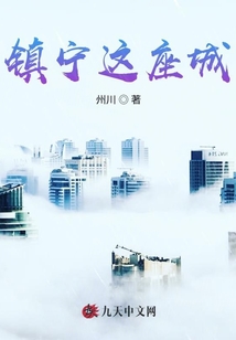 镇宁这座城
