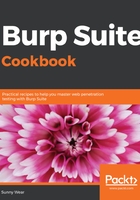 Burp Suite Cookbook在线阅读