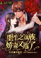 重生之血族娇妻又逃了在线阅读