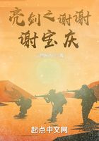 亮剑之谢谢谢宝庆