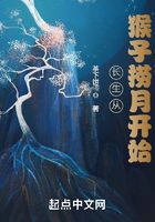 长生从猴子捞月开始在线阅读