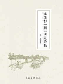 晚清標“新”小說論稿
