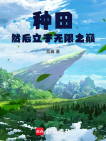 種田然后立于無限之巔