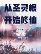 从圣灵根开始修仙在线阅读
