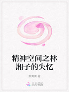 精神空间之林湘子的失忆在线阅读