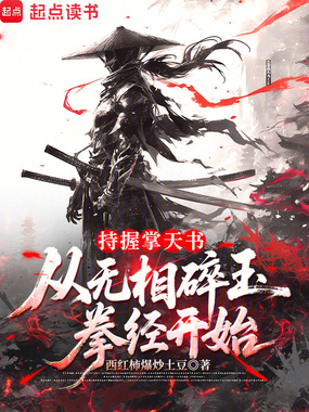 持握掌天书，从无相碎玉拳经开始在线阅读