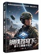 鋼鐵蒼穹下：第十三顆量子芯片在線閱讀