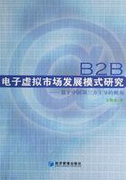 B2B电子虚拟市场发展模式研究在线阅读