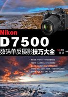 Nikon D7500数码单反摄影技巧大全