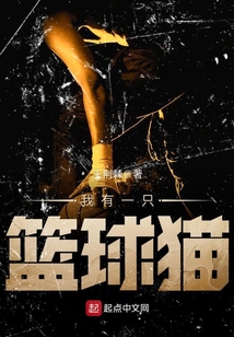 我有一只籃球貓