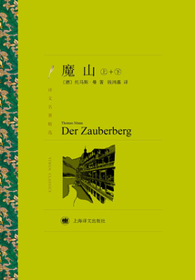 魔山(套裝上下冊)(譯文名著精選)