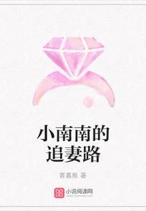 小南南的追妻路