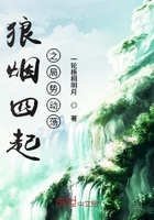 狼煙四起之局勢動蕩在線閱讀