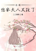 总裁您家夫人又跑了在线阅读
