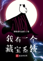 我有一个藏宝系统在线阅读