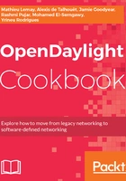 OpenDaylight Cookbook在线阅读