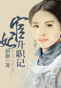 宦妃升職記