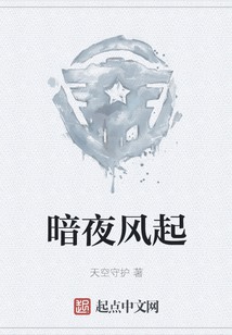 暗夜風起