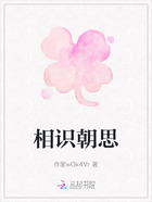 相识朝思在线阅读