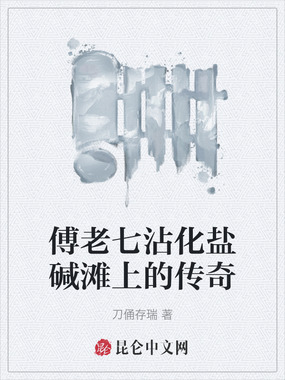 傅老七沾化盐碱滩上的传奇在线阅读