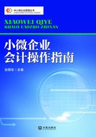 小微企业会计操作指南（中小微企业管理丛书）在线阅读