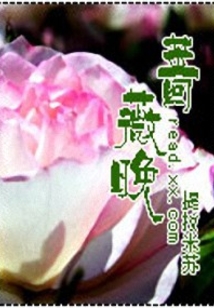 薔薇晚