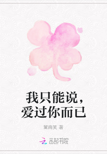 我只能說，愛過你而已