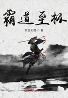 霸道至極在線閱讀