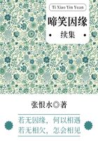 啼笑因緣·續(xù)集（張恨水經典言情）在線閱讀