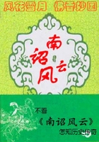南詔風(fēng)云在線閱讀