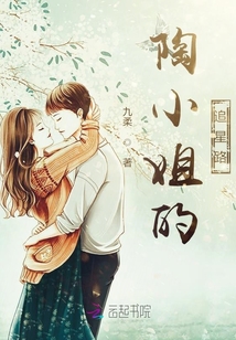 陶小姐的追星路