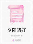 夕阳晴好在线阅读